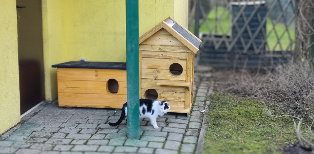przekazanie budek dla kotów wolno żyjących