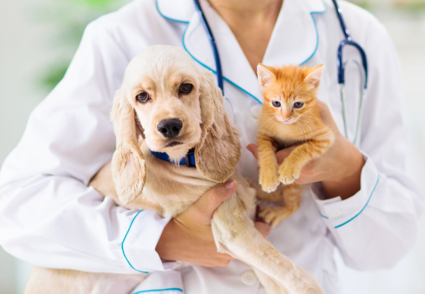 konsultacje w sprawie zmiany w uchwale