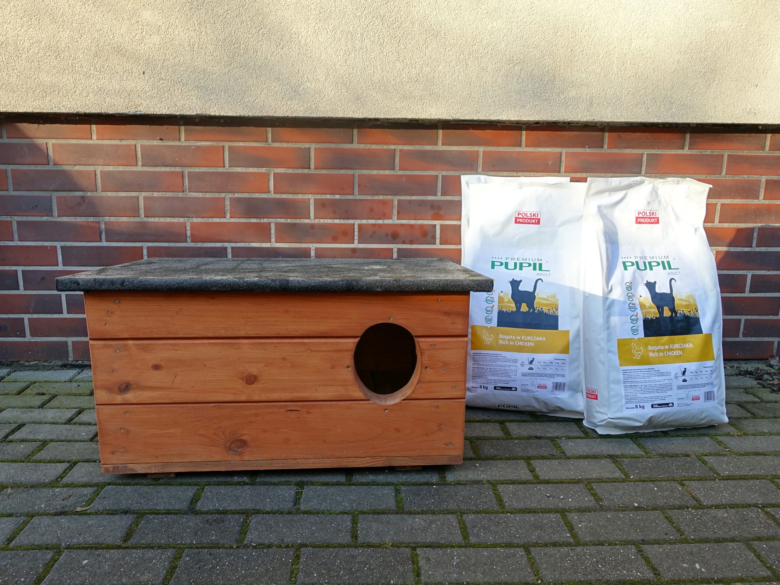 karma i budki dla kotów wolno żyjących