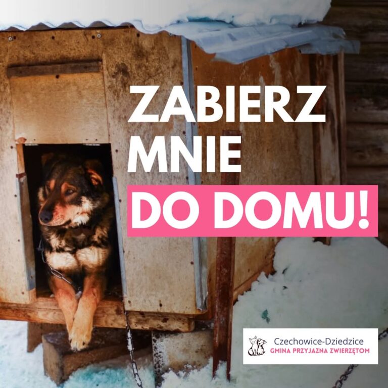 Zabierz mnie do&nbsp;domu!